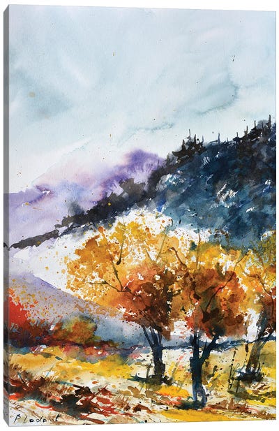 Approaching Autumn Canvas Art Print - Pol Ledent