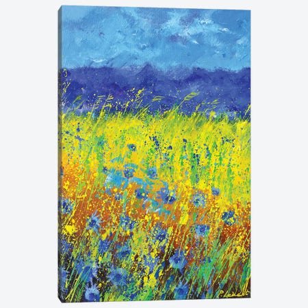 Blue Cornflowers Canvas Print #LDT284} by Pol Ledent Canvas Art Print
