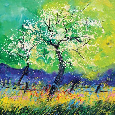 Blossom by Pol Ledent canvas print