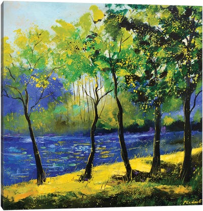 Blue River Canvas Art Print - Pol Ledent