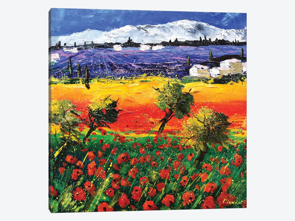 Red Poppies And Lavender In Provence by Pol Ledent 1-piece Canvas Artwork