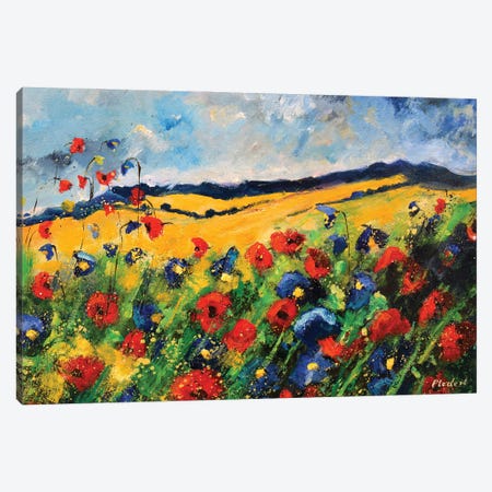Red And Blue Poppies Canvas Print #LDT304} by Pol Ledent Canvas Artwork