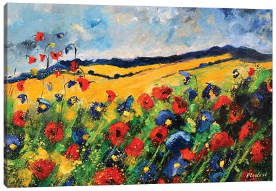 Red And Blue Poppies Canvas Art Print - Pol Ledent