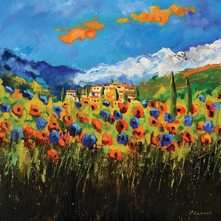 Poppies In Tuscany
