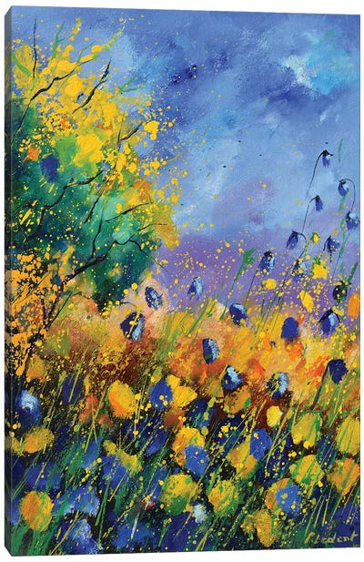 Wild Summer Flowers Canvas Art Print - Pol Ledent