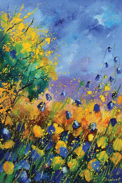 Wildflowers: Wild Summer Flowers by Pol Ledent