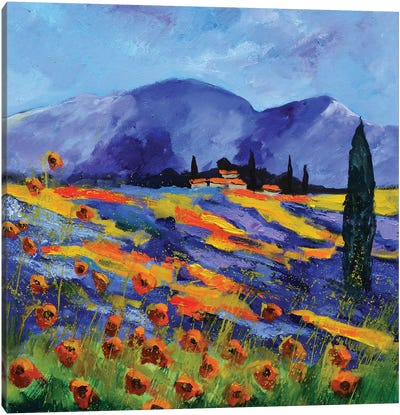 Provence Canvas Art Print