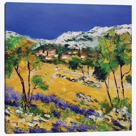 My Provence Canvas Print #LDT318} by Pol Ledent Canvas Wall Art