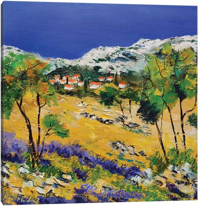 My Provence Canvas Art Print