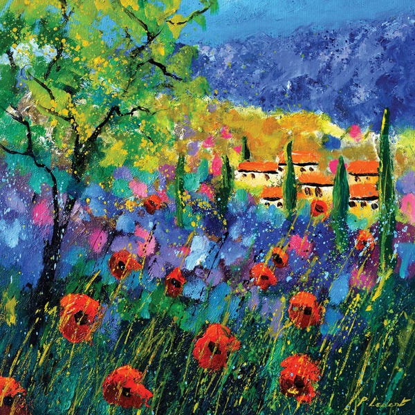 Poppies: Provence 2021 by Pol Ledent