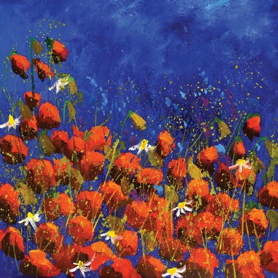 Red Poppies 6824 by Pol Ledent art print
