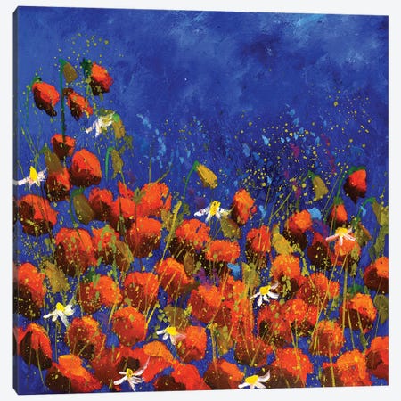 Red Poppies 6824 Canvas Print #LDT340} by Pol Ledent Canvas Art Print