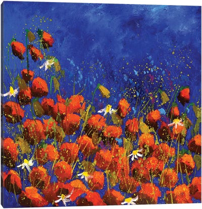 Red Poppies 6824 Canvas Art Print - Pol Ledent