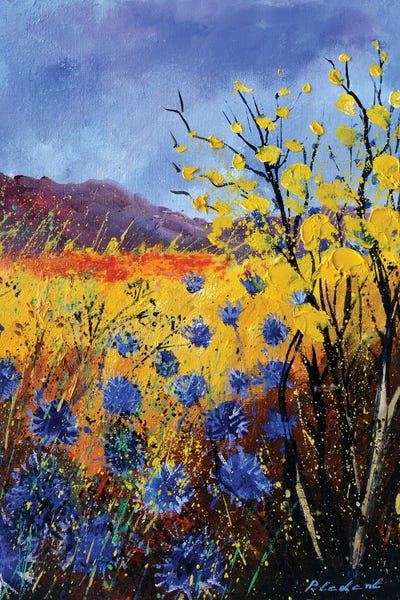 Cornflowers: Corn Flowers by Pol Ledent