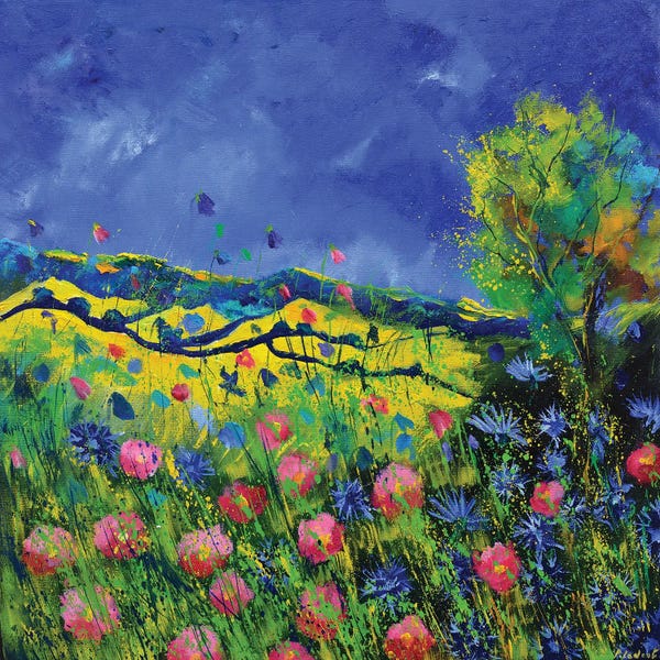 Poppies: Fieldflowers by Pol Ledent
