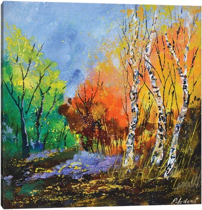 Autumn Canvas Art Print - Aspen Tree Art