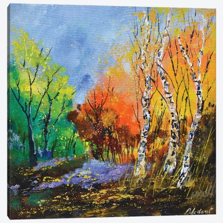 Autumn Canvas Print #LDT353} by Pol Ledent Canvas Art