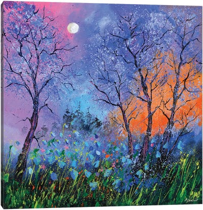 Magic Moonshine Canvas Art Print - Pol Ledent