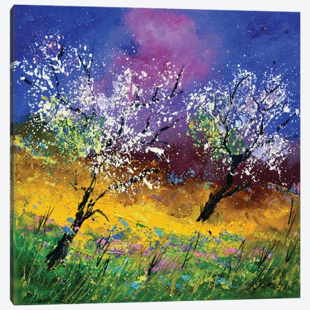 Blooming Canvas Print #LDT372} by Pol Ledent Canvas Wall Art