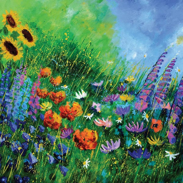 Fine Art Print: My Neighbour's garden by Pol Ledent