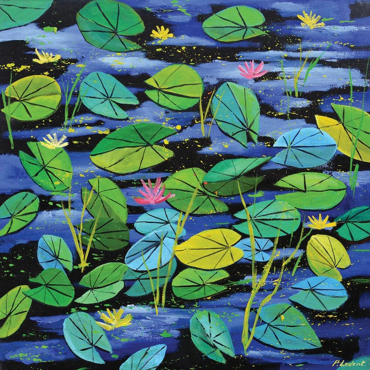Waterlilies
