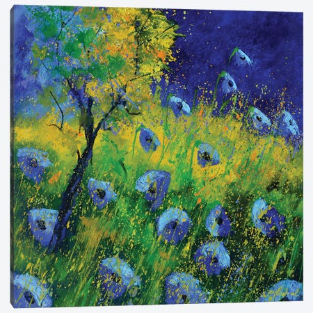 Blue Poppies 672021 Canvas Print #LDT402} by Pol Ledent Canvas Wall Art