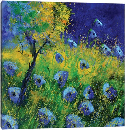 Blue Poppies 672021 Canvas Art Print - Pol Ledent