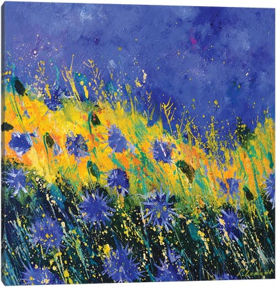 The Summer Blue Cornflowers Canvas Art Print - Nature Lover