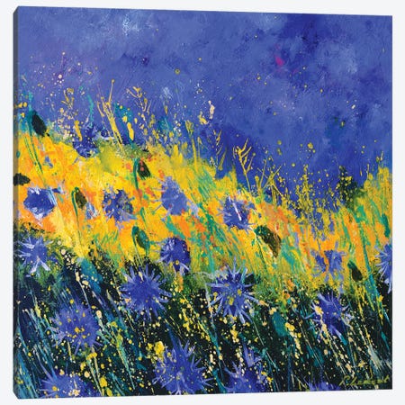 The Summer Blue Cornflowers Canvas Print #LDT414} by Pol Ledent Canvas Artwork