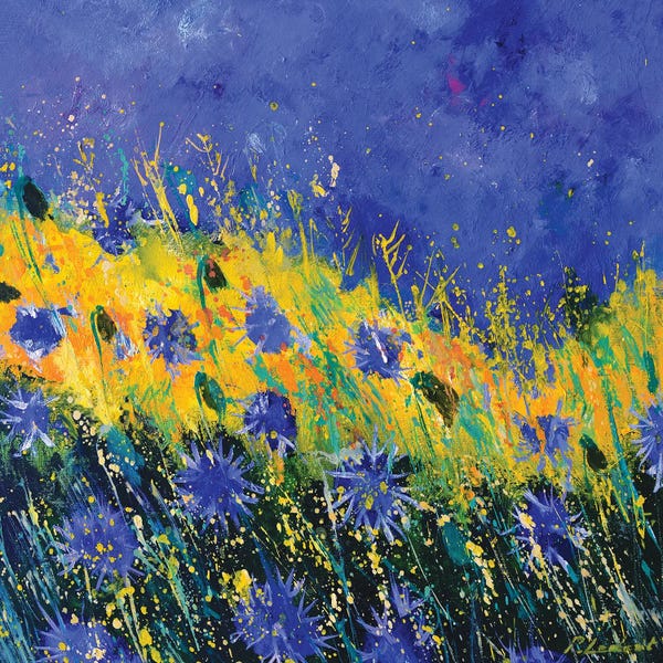 Cornflowers: The Summer Blue Cornflowers by Pol Ledent