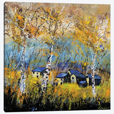Aspen Trees In Autumn Canvas Print #LDT421} by Pol Ledent Canvas Art