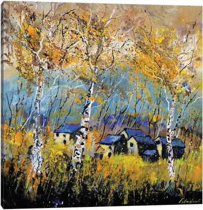 Aspen Trees In Autumn Canvas Art Print - Pol Ledent