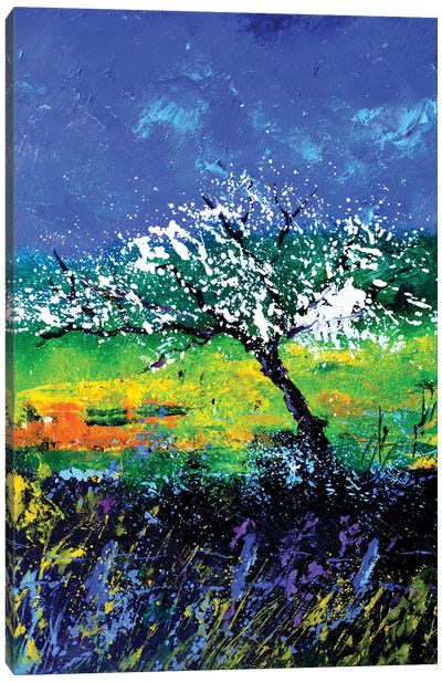Appletree In Spring 56 Canvas Art Print - Pol Ledent