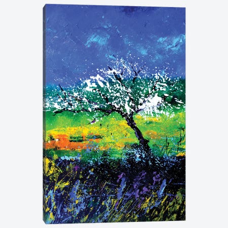 Appletree In Spring 56 Canvas Print #LDT422} by Pol Ledent Canvas Art