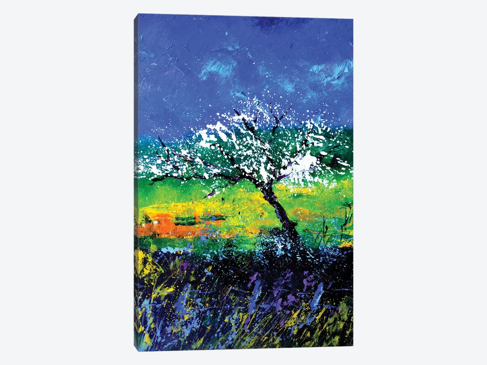 Appletree In Spring 56 by Pol Ledent 1-piece Canvas Wall Art
