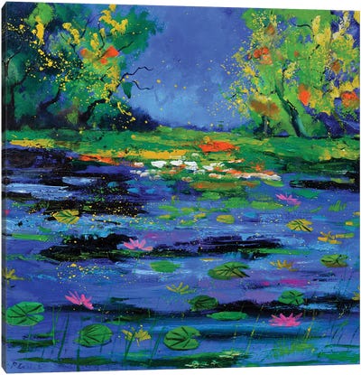Magic Pond 76 Canvas Art Print - Pol Ledent