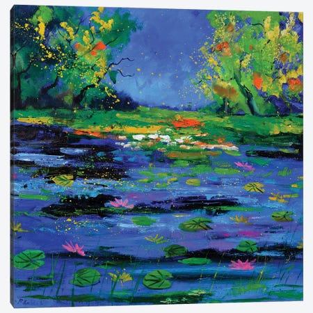 Magic Pond 76 Canvas Print #LDT423} by Pol Ledent Canvas Artwork