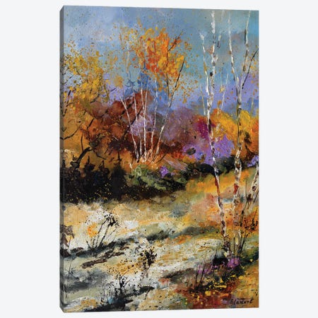 Aspen Trees Canvas Print #LDT440} by Pol Ledent Canvas Art
