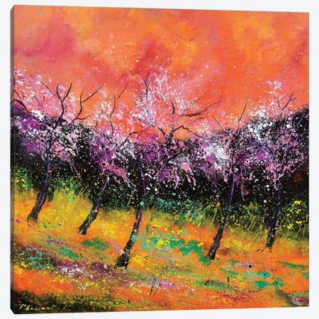 Spring Blooming Canvas Print #LDT449} by Pol Ledent Canvas Art