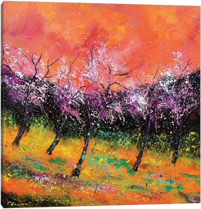 Spring Blooming Canvas Art Print - Pol Ledent