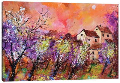 Magic Spring Canvas Art Print - Pol Ledent