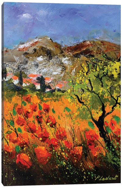 Red Poppies In Provence Xlv Canvas Art Print - Provence