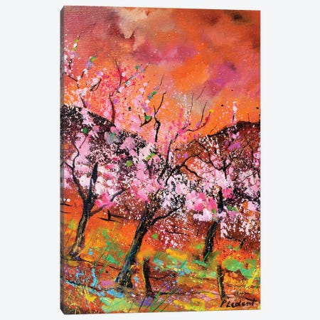 Blooming Cherrytrees Canvas Print #LDT470} by Pol Ledent Canvas Art Print