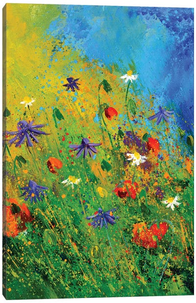 Wild Flowers CDLVI Canvas Art Print - Pol Ledent