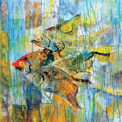 Angel Fish by Pol Ledent canvas print
