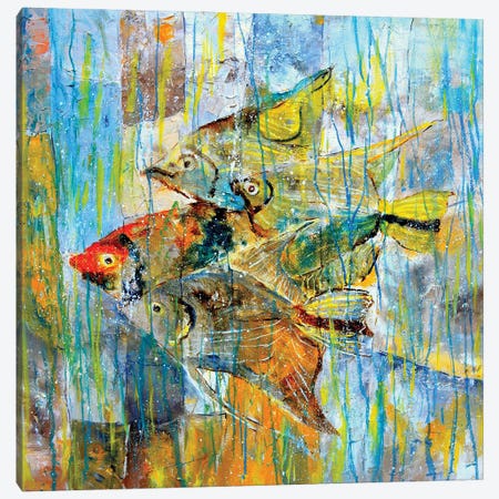Angel Fish Canvas Print #LDT481} by Pol Ledent Canvas Artwork
