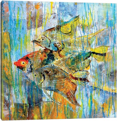 Angel Fish Canvas Art Print - Pol Ledent