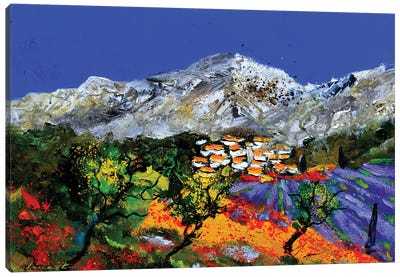 Wonderful Provence Canvas Art Print