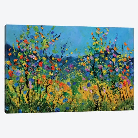 Poppies In The Valley Canvas Print #LDT494} by Pol Ledent Canvas Artwork