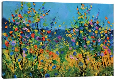 Poppies In The Valley Canvas Art Print - Poppy Art